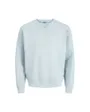 Sweat Homme JPRBLUCALEB