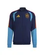 Veste Pré-Match Homme RFEF Espagne

Comptons les caractères.