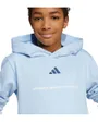Sweat à Capuche Homme B FL HD