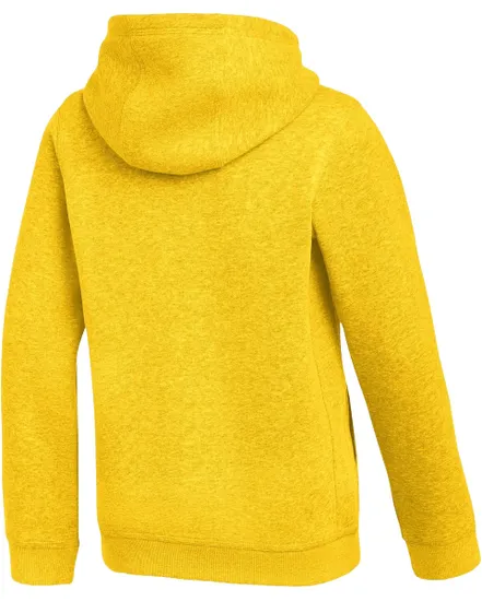 Sweat À Capuche Enfant Nike Park26