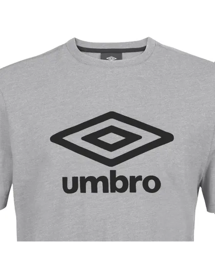 T-shirt Homme SB C NET TEE LL Gris