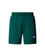 Short Homme M BOX NSE REGULAR SHORT Vert