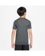 T-Shirt Enfant plus âgé K NK DF TRPHY23 SS TOP GX Gris
