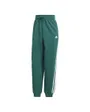 Pantalon de survetement Femme W 3S FT LS PT Vert