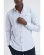 Chemise Homme LOUP Blanc