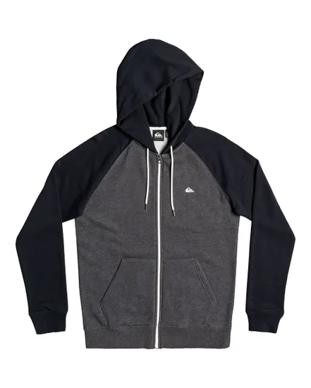 Sweat à capuche Homme EVERYDAY ZIP M Gris