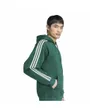 Sweat à capuche Homme M 3S FL HD Vert