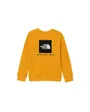 Sweat-Shirt Fille Summit Gold The North Face