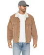 Veste Homme Relaxed Fit Sherpa Trkr