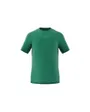 T-shirt manches courtes Homme M WO PU TEE Vert