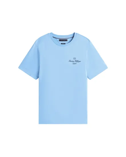 T-shirt col rond Homme OUTLINE FLAG SCRIPT Bleu