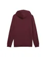 Sweat à Capuche Homme Ess 2 Color Small No 1 Logo