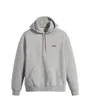 Sweatshirt Homme LEVIS SEASONAL HOODY Gris