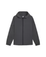 Sweat zip à capuche Homme PUMATECH WOVEN JACKE Gris