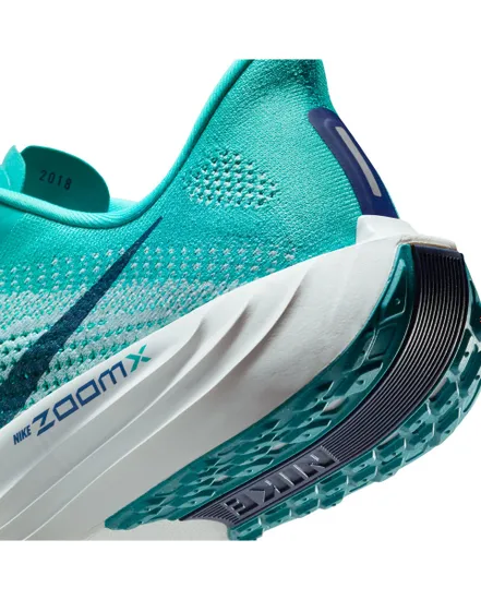 Chaussures de running Homme PEGASUS PLUS Bleu
