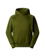 Sweat à capuche Homme M RAGLAN BOX NSE HOODIE Vert
