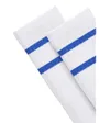 Chaussettes Sport Homme 2P SK Blue Stripe