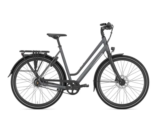 Vélo urbain/trekking Unisexe CHAMONIX S11 Gris Nuage