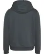 Sweat zip à capuche Homme TJM REG S FLAG ZIP T Gris