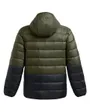 Veste À Capuche Homme Legend Down