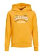 JJELOGO SWEAT HOOD 2 COL 22/23 NOOS JNR