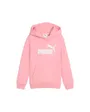 Sweat A Capuche Homme Logo Hoodie