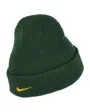 Bonnet Unisexe SPRINGBOKS UNISEX NIKE CUFFED BEANIE Vert