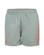 Short de bain Homme FUNDAMENTALS ARENA LOGO BOXER R Vert
