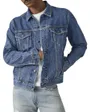 Veste Denim Homme The Trucker Jacket
