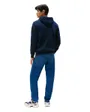 Sweat à Capuche Homme Tommy Jeans Reg Rwb Flag Hoodie Ext