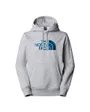 Sweat à capuche Homme M DREW PEAK PULLOVER HOODIE Gris