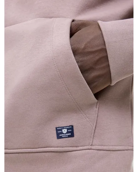 Sweat à capuche Homme JPRBLULOYAL SWEAT HOOD PRAU25 Violet