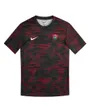Haut Pré-Match Homme RC Toulon Nike