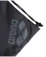 Sac de Piscine Mixte Arena One Go Swimbag