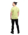 T-Shirt Homme BEARDEN ASPERGE