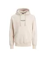 Sweat À Capuche Homme Jorvesterbro Noos