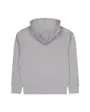 Sweat à capuche Homme WEBASICHOOD Gris Clair/Pastel