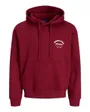 Sweat À Capuche Homme Jormeadows