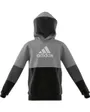 Sweatshirt à capuche garçon Enfant U CB HOODIE Gris