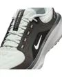 Chaussures de running Homme AIR WINFLO 11 GTX Gris