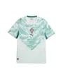 Maillot de football Homme FPF AWAY JERSEY REPLICA Vert