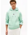 Sweat à capuche Homme TOMMY LOGO HOODY Vert