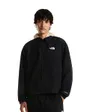 Veste Homme TNF Easy Packable