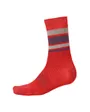 Chaussettes Homme BAABAA MERINO STRIPE Rouge Pomegranate