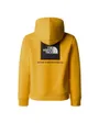 Sweat à capuche Enfant TEEN REDBOX REGULAR P/O HOODIE Jaune