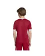 Maillot de football Enfant LFC H JSY Y Rouge