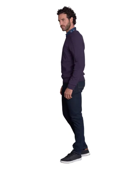 Pull col rond Homme TRANQUILLE Violet