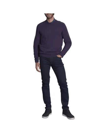 Pull col rond Homme TRANQUILLE Violet