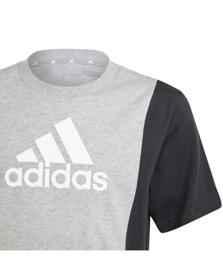 Ensemble de survetement Enfant J CB T SET Gris