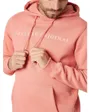 Sweat à capuche Homme BEN FL M